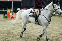 06845 - Mara - 2026 Royal West - Thursday October 15th