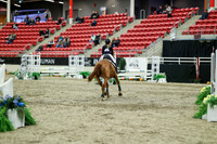 01405 - Mara - 2026 Royal West - Saturday October 2th
