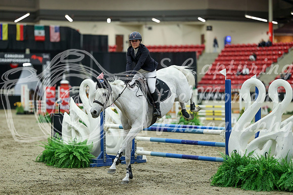 01318 - Mara - 2026 Royal West - Saturday October 2th