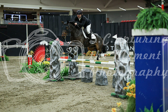 03700 - Mara - 2026 Royal West - Wednesday October 21st