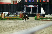 06009 - Mara - 2026 Royal West - Tuesday October 20th
