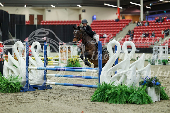 00297 - Mara - 2026 Royal West - Saturday October 2th