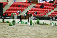 01319 - Mara - 2026 Royal West - Wednesday October 21st