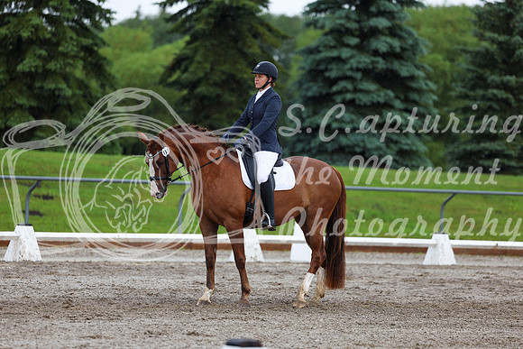 2025 - Dressage Festival - Sunday July 6th - 05229