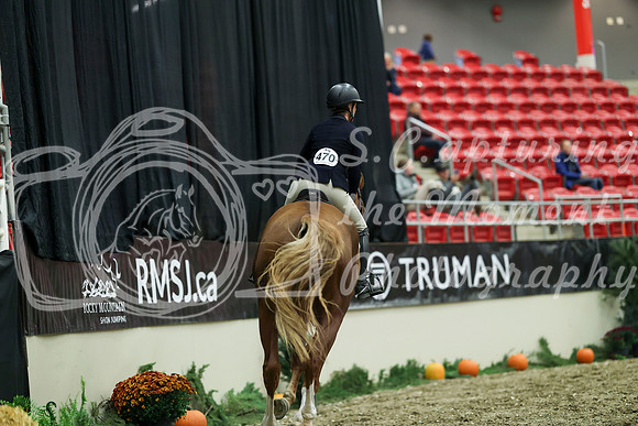 02409 - Mara - 2026 Royal West - Saturday October 17th