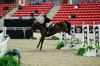 00293 - Mara - 2026 Royal West - Saturday October 2th