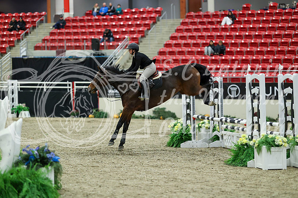 00293 - Mara - 2026 Royal West - Saturday October 2th