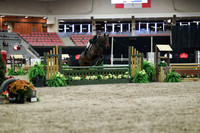 01008 - Mara - 2026 Royal West - Tuesday October 20th