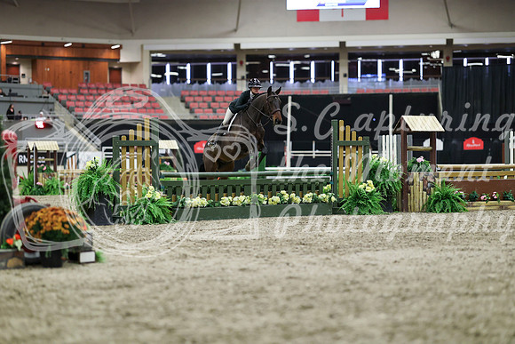 01008 - Mara - 2026 Royal West - Tuesday October 20th