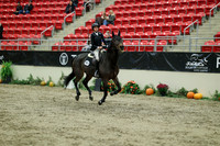 01497 - Mara - 2026 Royal West - Wednesday October 21st