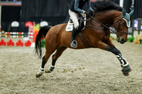 08039 - Mara - 2026 Royal West - Thursday October 15th