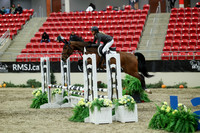 01459 - Mara - 2026 Royal West - Saturday October 2th