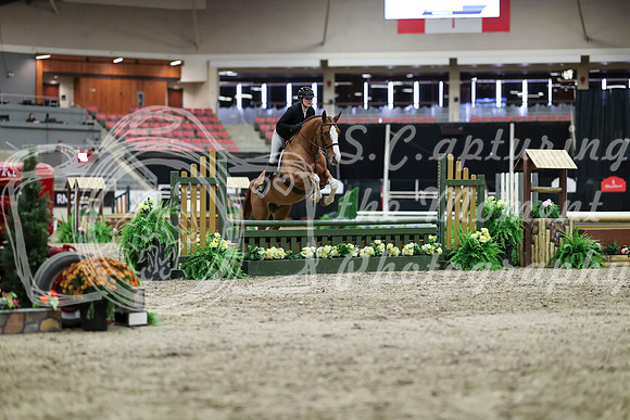 00502 - Mara - 2026 Royal West - Tuesday October 20th