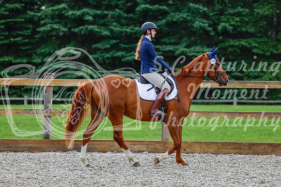 2025 - Haylee - Picco Horse Show - Saturday July 26th 00530