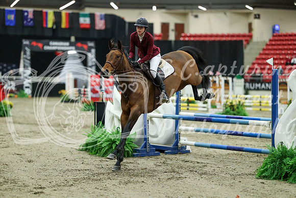00627 - Mara - 2026 Royal West - Saturday October 2th