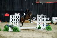 03033 - Mara - 2026 Royal West - Thursday October 22nd