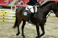 06087 - Mara - 2026 Royal West - Saturday October 24th