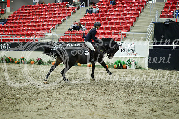 05562 - Mara - 2026 Royal West - Wednesday October 21st