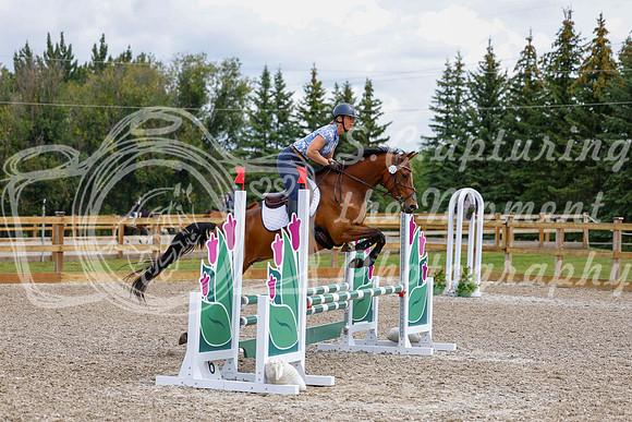 2025 - Haylee - Picco Horse Show - Saturday July 26th 03849