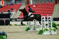 00358 - Mara - 2026 Royal West - Saturday October 2th