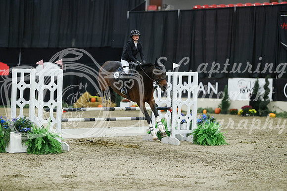 03038 - Mara - 2026 Royal West - Thursday October 22nd