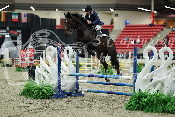 00366 - Mara - 2026 Royal West - Saturday October 2th
