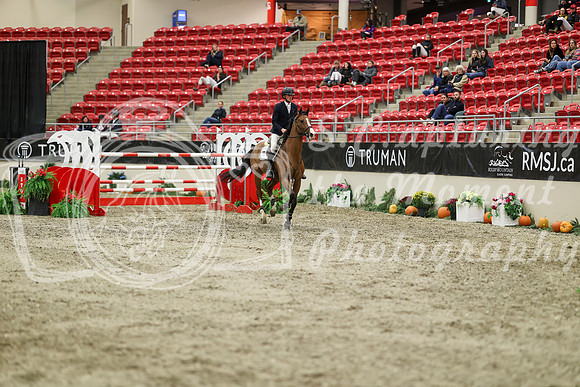 11284 - Mara - 2026 Royal West - Thursday October 22nd