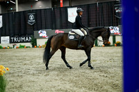 04650 - Mara - 2026 Royal West - Wednesday October 21st