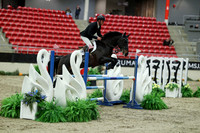04551 - Mara - 2026 Royal West - Saturday October 24th