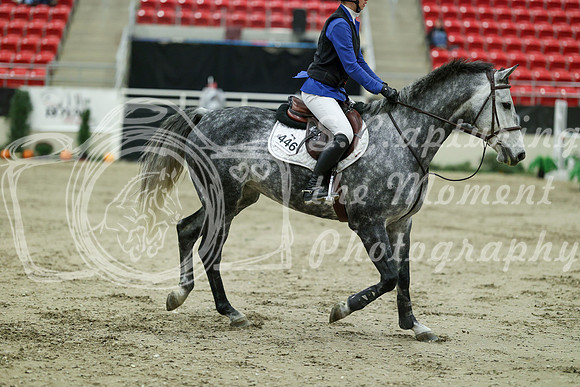 04775 - Mara - 2026 Royal West - Saturday October 24th