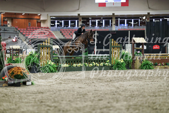 01302 - Mara - 2026 Royal West - Tuesday October 20th