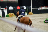 01297 - Mara - 2026 Royal West - Friday October 23rd