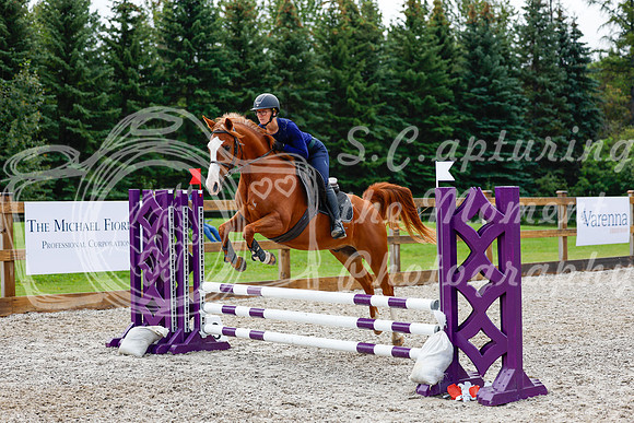 2025 - Haylee - Picco Horse Show - Sunday July 27th 01929