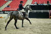 05364 - Mara - 2026 Royal West - Wednesday October 21st