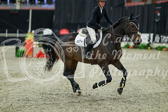 05629 - Mara - 2026 Royal West - Thursday October 15th
