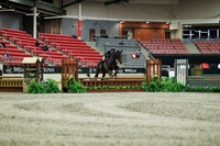 01180 - Mara - 2026 Royal West - Saturday October 17th