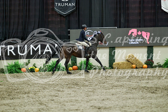 01180 - Mara - 2026 Royal West - Thursday October 15th