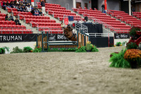 01704 - Mara - 2026 Royal West - Tuesday October 20th