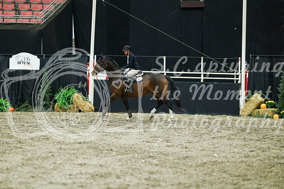 01330 - Mara - 2026 Royal West - Thursday October 15th