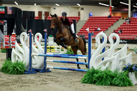 00620 - Mara - 2026 Royal West - Saturday October 2th