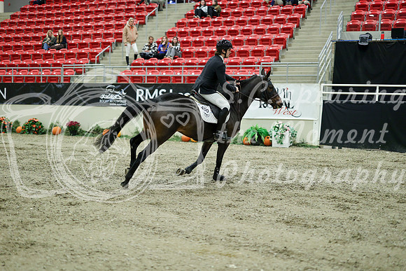 03687 - Mara - 2026 Royal West - Wednesday October 21st
