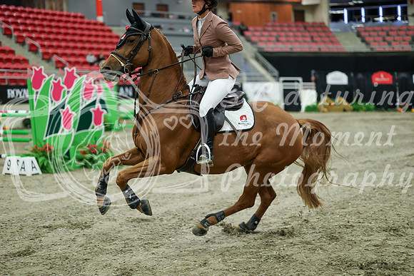 03388 - Mara - 2026 Royal West - Wednesday October 21st