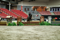 02195 - Mara - 2026 Royal West - Saturday October 17th
