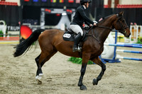 01132 - Mara - 2026 Royal West - Saturday October 2th