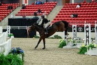 00294 - Mara - 2026 Royal West - Saturday October 2th