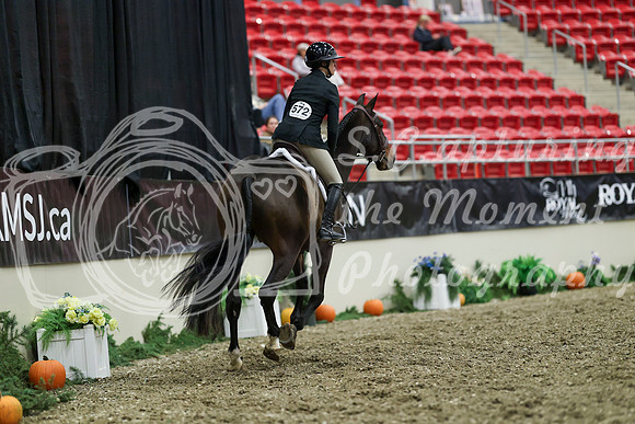 01023 - Mara - 2026 Royal West - Tuesday October 20th