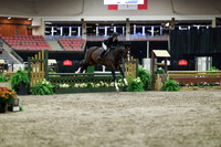 01602 - Mara - 2026 Royal West - Tuesday October 20th