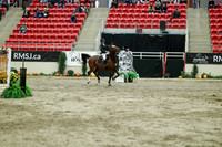 06022 - Mara - 2026 Royal West - Saturday October 24th