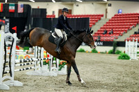 01340 - Mara - 2026 Royal West - Thursday October 15th