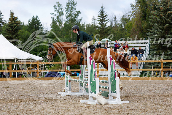 2025 - Haylee - Picco Horse Show - Sunday July 27th 02240